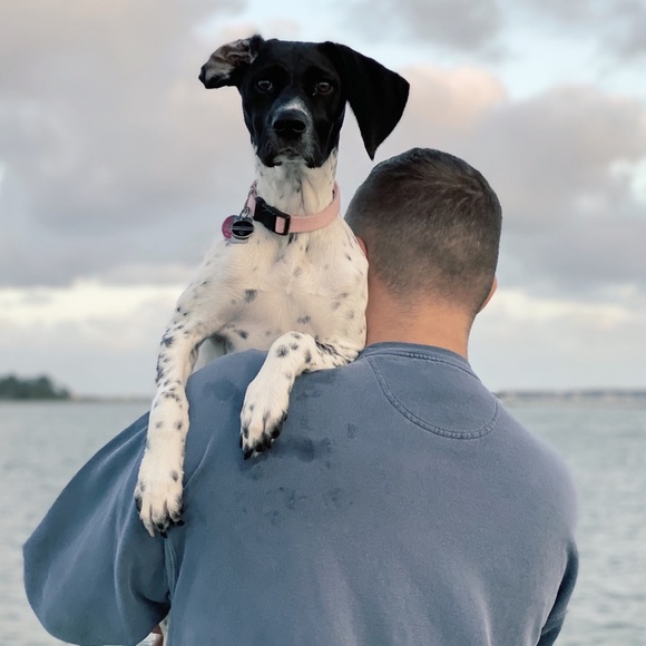 Meet your Posher, Gavin - Picture 1 of 1